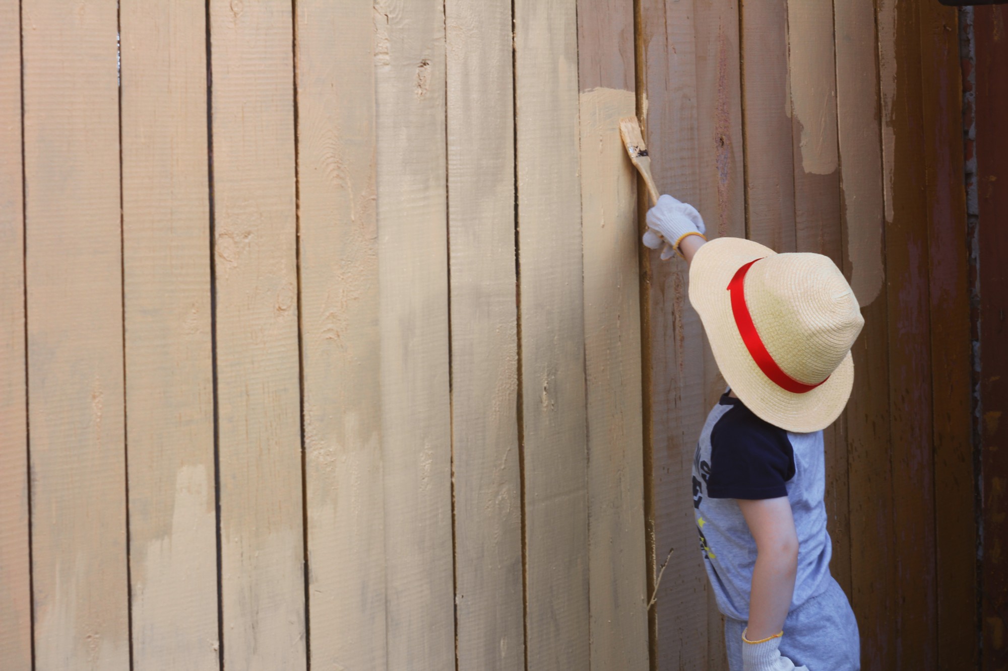 The Best Wooden Fence Paint Colors For Your Home